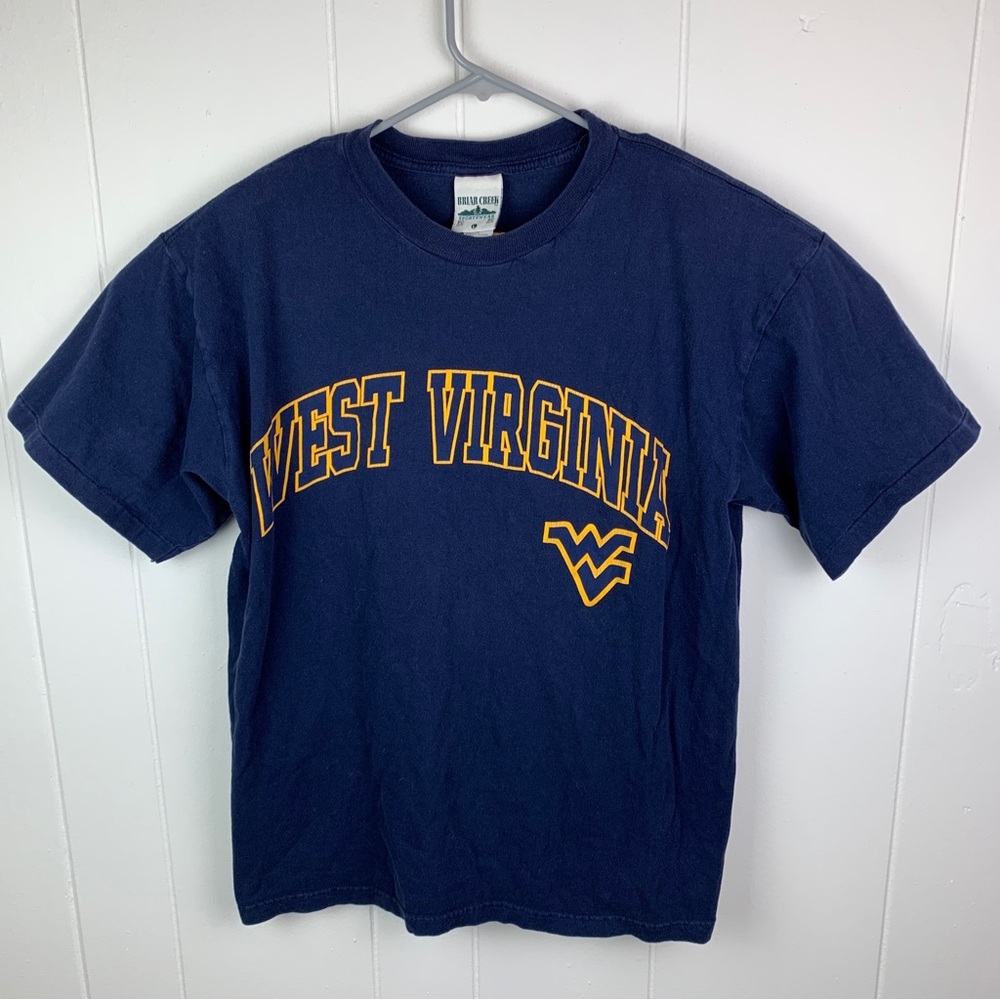 Vintage Briar Creek Shirt West Virginia Blue Men’s Large Single Stitch